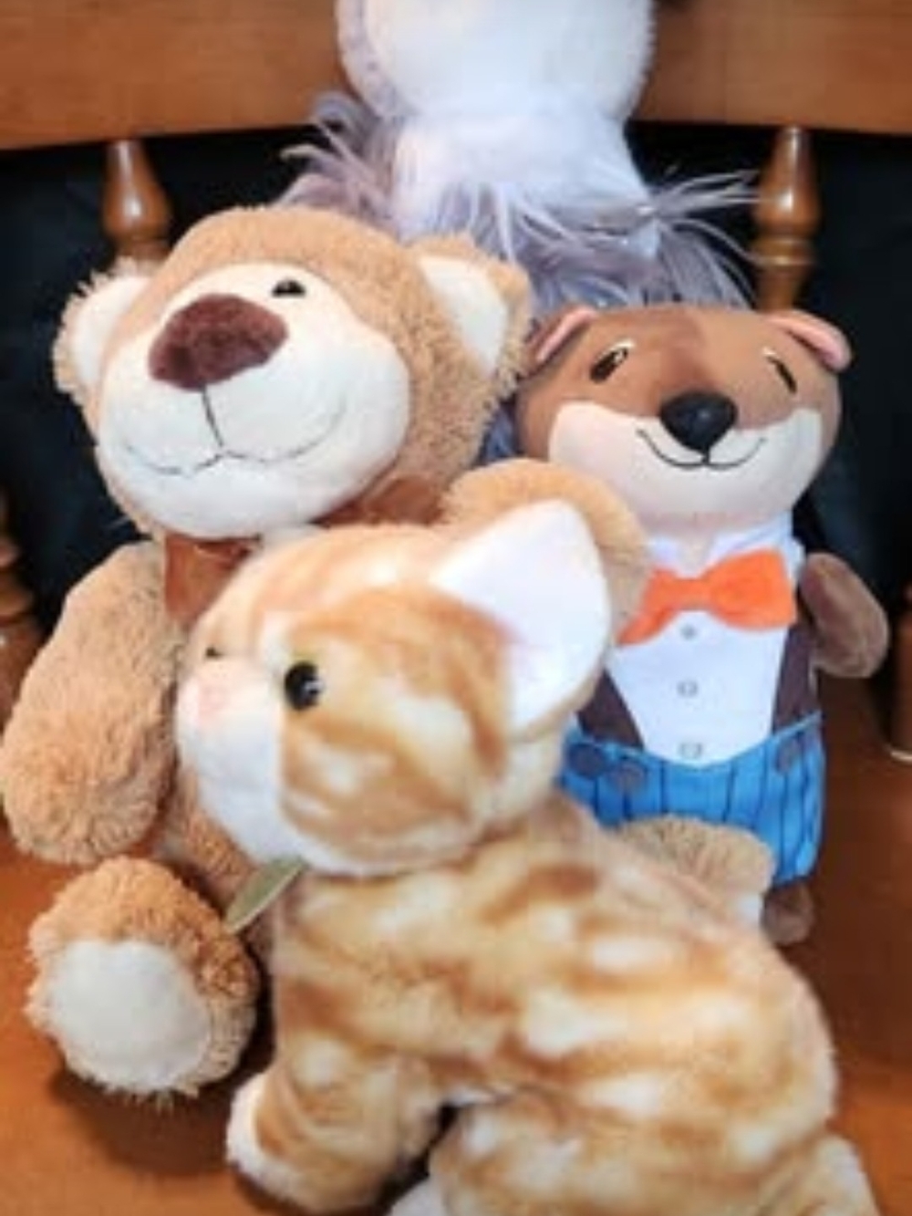 4 Miscellaneous Plush no tags
Teddy Bear, Penguin, Kitten, Everdell
